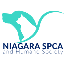 NIAGARA SPCA SPAY/NEUTER CLINIC IN WELLAND CELEBRATES 10 YEARS