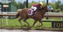 Opening Day wagering hits $1.9 million at Fort Erie Race Track - Rainy weather cuts race card short