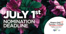 Nominations open June 1st for the 2024 Niagara Falls Summer Trillium Awards, presented by Niagara Peninsula Energy 