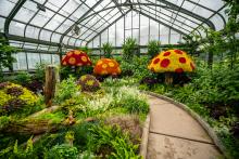 Take in the Splendour of the Annual Summer Show at the Floral Showhouse