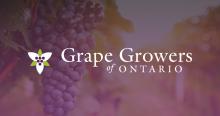 INVIGORATING THE NEXT GENERATION OF GRAPE GROWERS