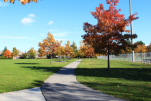 Walk with Lord Mayor Zalepa in the Niagara-on-the-Lake Step Challenge