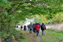 COMMUNITIES UNITE AT KIDNEY WALKS, THE KIDNEY FOUNDATION'S ANNUAL SIGNATURE FUNDRAISER