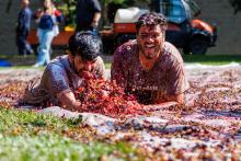 ‘Tonnes’ of fun planned at Brock’s annual Grape Stomp