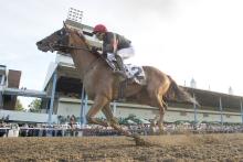 Indigenous trainer wins 89th Prince of Wales Stakes