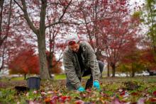 Niagara Parks Invites Public to Join in Community Tree Planting Day at Old Fort Erie