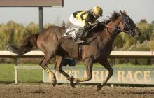 Tour de Fort closes out Fort Erie Race Track season with a bang