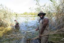 Niagara College earns WWF-Canada Living Campus Certification