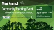 Public Service Announcement: Join the Mini Forest Community Planting & help us reach our 1,000 Tree Challenge!