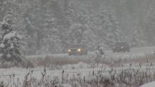snow