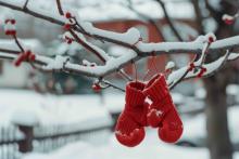 Hang some winter warmth on Museum’s Mitten Tree