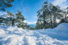 City of Niagara Falls crews ready for forecasted snowfall