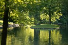 Niagara Parks to Implement Road Closures in Dufferin Islands