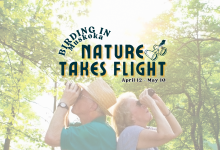 birding