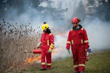 2025 Annual Prescribed Burn Program Underway at Niagara Parks