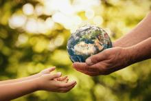 Port Colborne to celebrate Earth Day with free tree giveaway