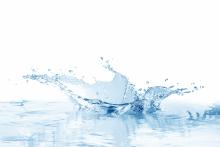 22nd annual Niagara Region Children's Water Festival returns to Brock University from April 29-May 2