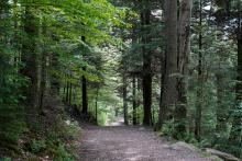 Replacement of Section of Niagara River Recreation Trail in Niagara-on-the-Lake​ 