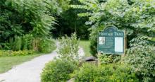 Join the Community Walk on the Heritage Trail for International Trail Day