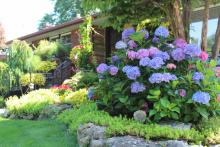 Nominate a garden for the St. Catharines Trillium Awards