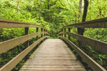Forty Mile Creek Pedestrian Bridge is now open to the public