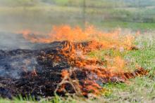 Fort Erie Puts Fire Ban in Place Due to Extreme Heat