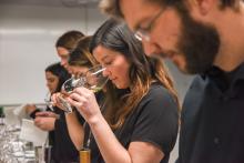 Sip and learn: Niagara College's School of Wine, Beer & Spirits launches new part-time courses this fall 2025   