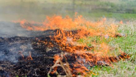Fort Erie Puts Fire Ban in Place Due to Extreme Heat