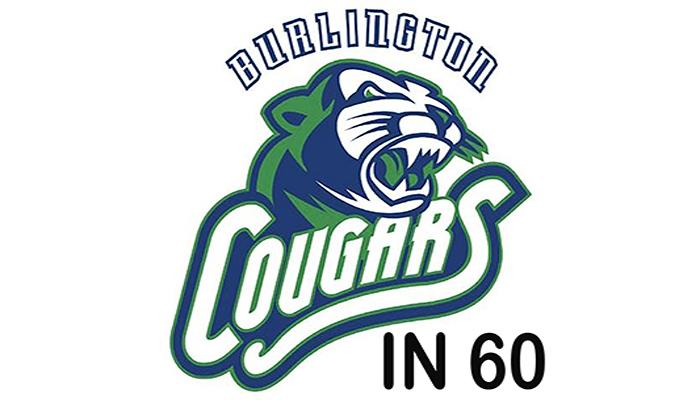 Cougars in 60
