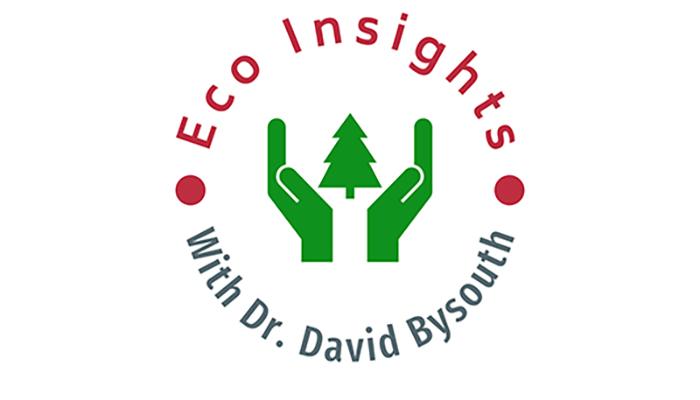 Eco Insights