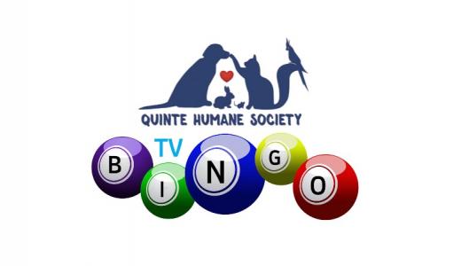 QHS TVBingo
